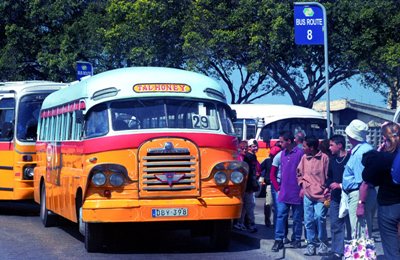 Maltese Bus